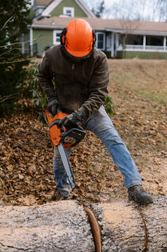 man with chainsaw and safety gear cutting tree trunk into chunks