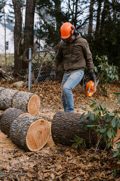 man with chainsaw and safety gear cutting tree trunk into chunks