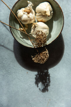 Garlic bulbs and dried allium flowers