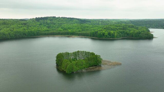 An aerial view of a small island covered with dense green trees in the middle of a lake, surrounded by lush green forest.