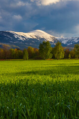 Wiosenny krajobraz Karkonoszy i zaśnieżona Śnieżka -  Dolny Śląsk