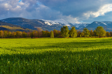 Fototapeta premium Spring Landscape in Karkonosze and Snowy Śnieżka - Lower Silesia