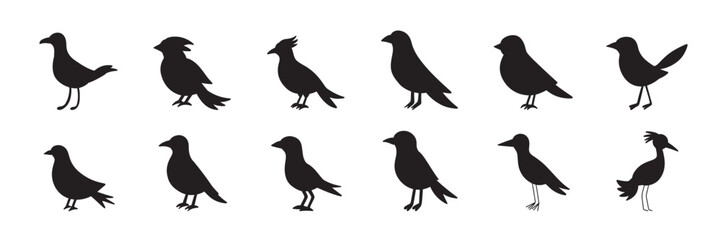 Collection of birds silhouette. Hand drawn vector art.