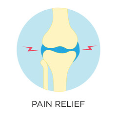 Pain relief concept vector icon with a knee, flat style illustration