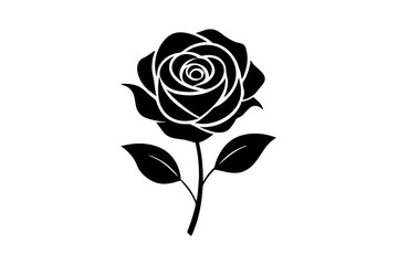 rose flower vector silhouette illustration