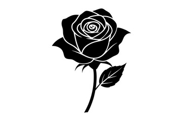 rose flower vector silhouette illustration