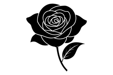 rose flower vector silhouette illustration