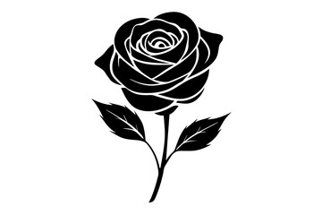 rose flower vector silhouette illustration