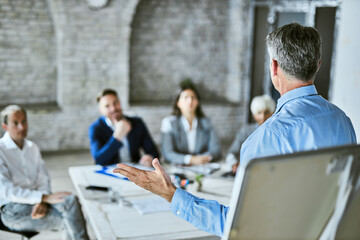 Back view of a male manager talking on business seminar in board room.