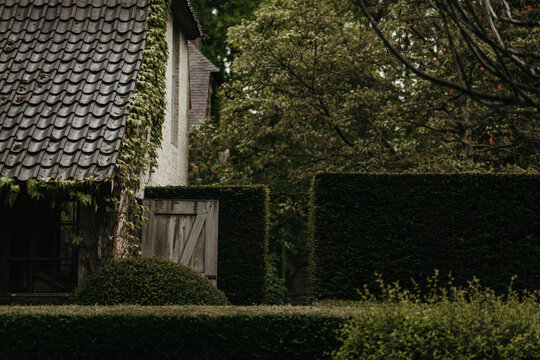 Perfect, tidy garden