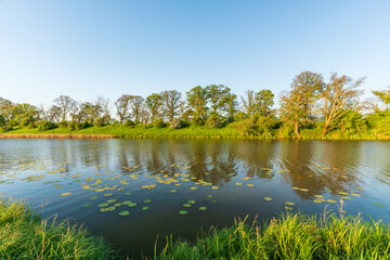 Beautiful lake landscape with green trees, lake Löbben in Germany