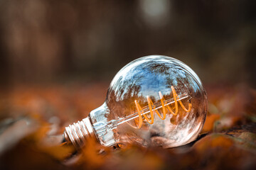 Lamp among the leaves during autumn.