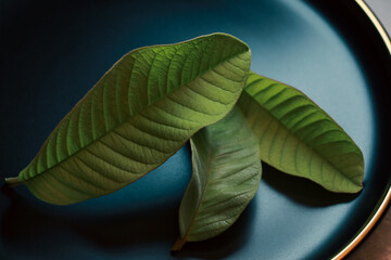 Fresh green leaves arranged in a blue dish on a wooden table: Guava leaves