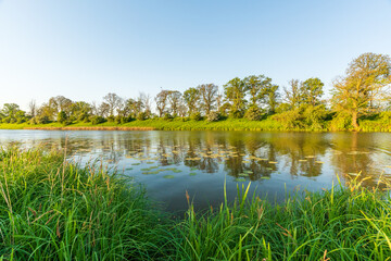 Beautiful lake landscape with green trees, lake Löbben in Germany
