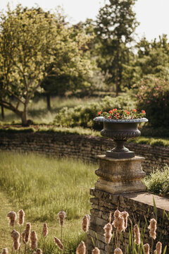 Antique flower pot on a fence