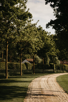 Rural garden path with cobblestones 