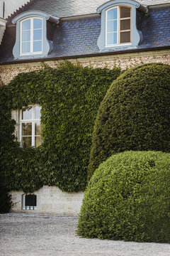 European home with climber on the walls