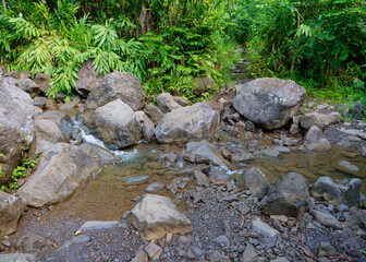 Creek flowing among rocks. Pipiwai trail hike in the Haleakala National Park, Hawaii