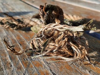 Skrawki liny © Stefan