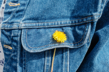 Yellow Flower In Denim Jacket Pocket