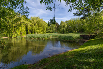 Spring version of Widzewski Park in Łódź, Poland.
