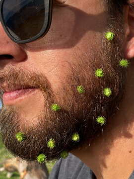 flower beard