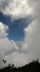 White fluffy cloud in the blue sky with silhouettes of trees under them
