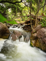 waterfall in the forest
