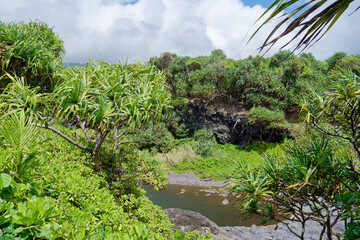 Obraz premium Oheo Gulch (also called Seven Sacred Pools) Haleakala National Park, Island of Maui, Hawaii, USA