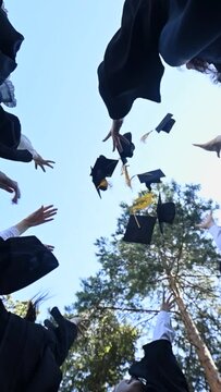Classmates in graduation gowns toss their hats outdoors. Bottom view. Vertical video. 