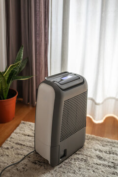 air purifier at home