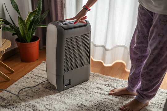 turning on air purifier at home