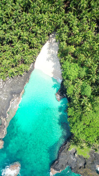 Turquoise water bordered by lush greenery in Bateria beach, ilheu das rolas,sao tome,africa
