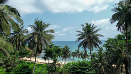 Naklejka premium Palm trees on beach by water in Sao Tome and Principe, Africa