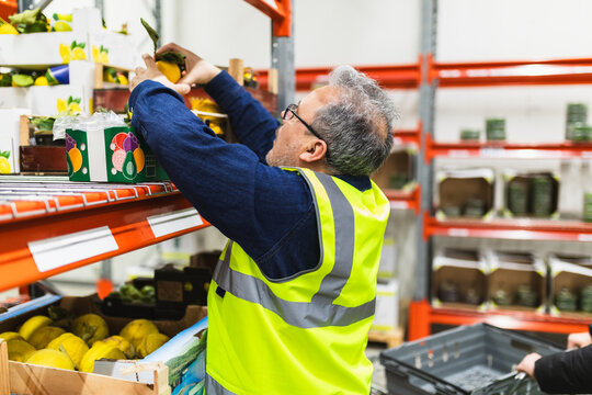 Organic vegetables in food warehouse