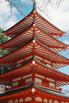 Traditional Japanese Temple 