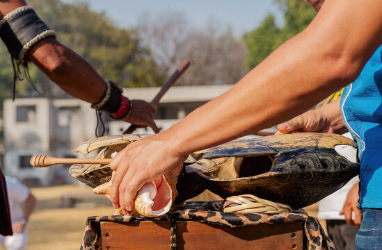 Turtle shell used as an instrument 