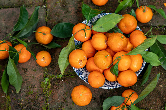 Mandarins on rustic surface