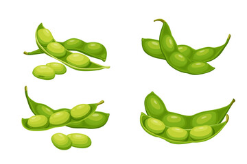 Soybean pods, edamame beans vector illustration for ad soy product.eps 10. perfect for wallpaper or design elements