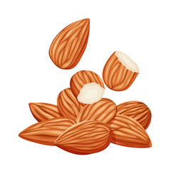 almonds on a white background. Vector eps 10