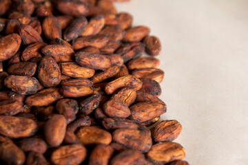 cocoa beans on a paper towel on a table next to a white bowl