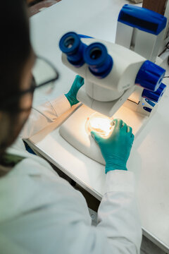 Scientist analyzing fungi sample with a stereoscope