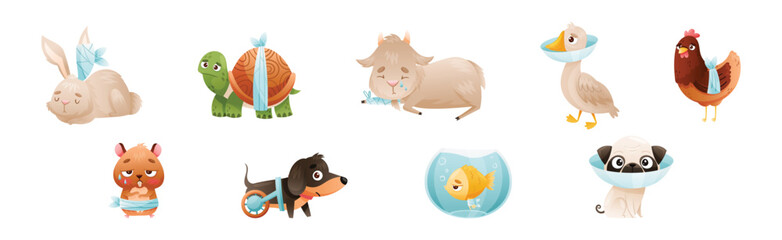 Sick Baby Animal with Bandage Injury Vector Set
