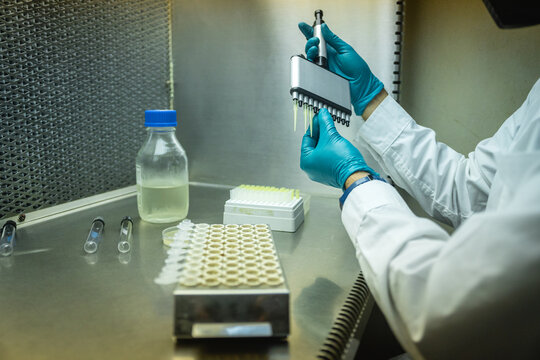 Scientific at a biology laboratory