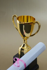 a gold trophy cup with a roll of papers near it