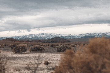 Sierra Nevada Mountains seen from the high desert of Nevada