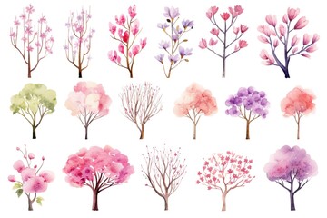 illustration watercolor spring pink cherry blossom tree collection set, grungy texture aquarelle on white background