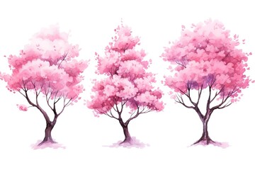 illustration watercolor spring pink cherry blossom tree collection set, grungy texture aquarelle on white background