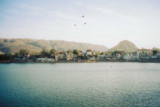 Serene view of birds flying over lake in Pushkar 