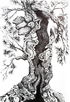Ink illustration of a mysterious tree, pen drawing 